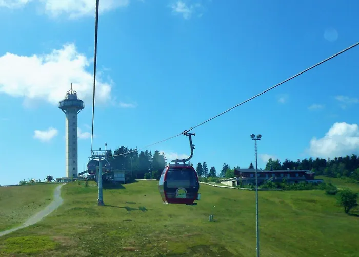 Apartman Alte Foersterei - Luxus-fewo Jaegerheim Mit Pool & Sauna Willingen